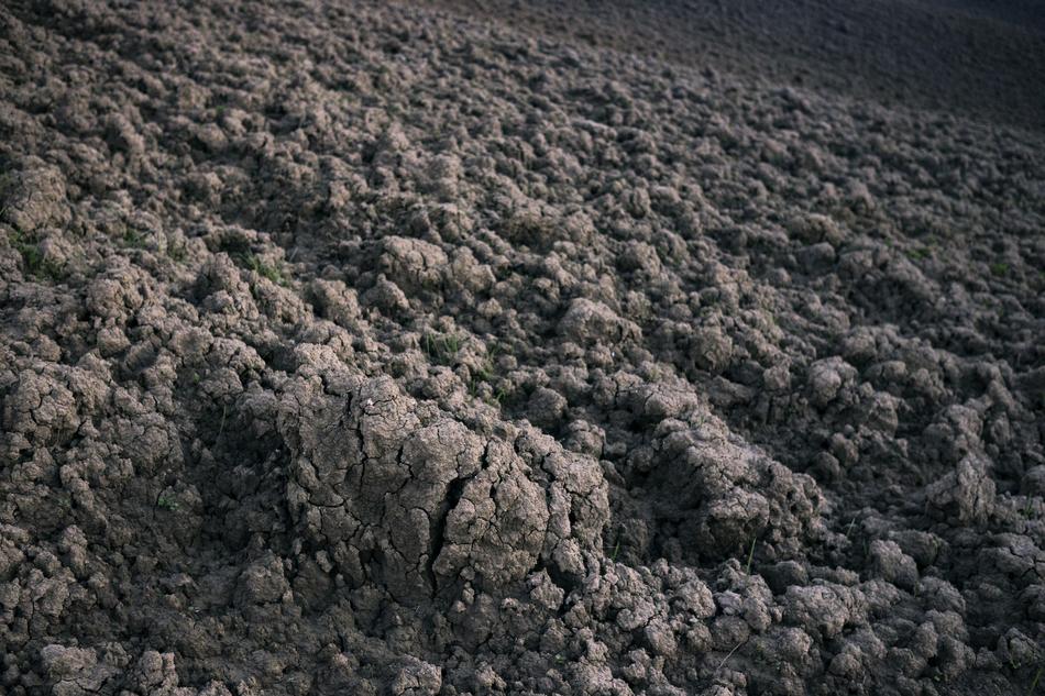 Soil Nature Earth