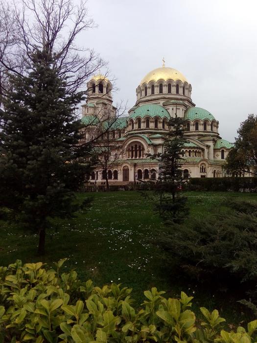 Sofia