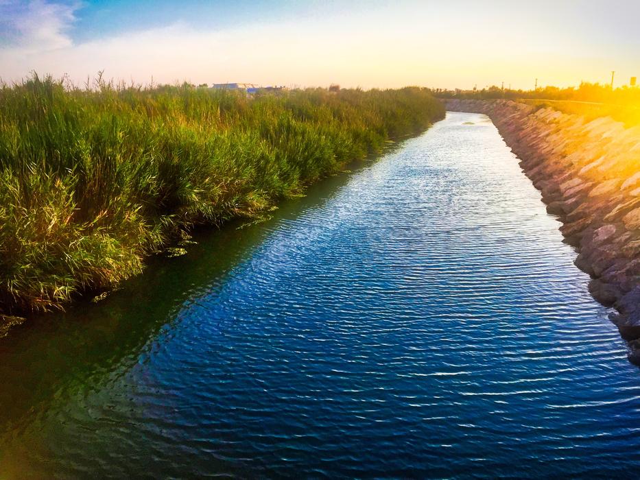 Waters River Nature