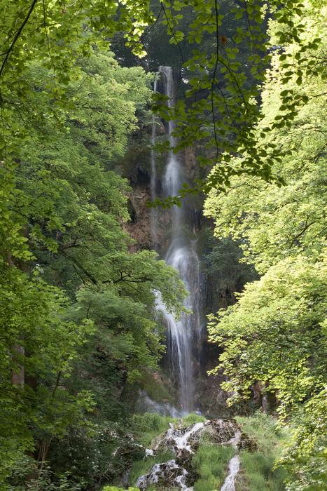 Waterfall Mountain Forest