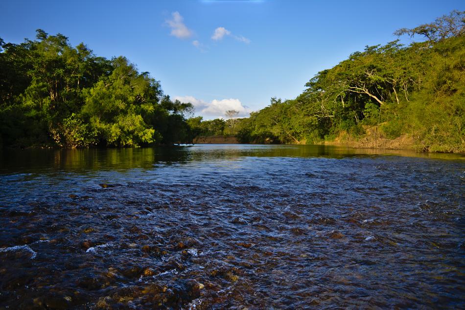 Water Nature River