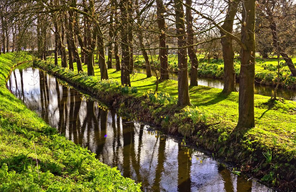 Ditch Moat Water