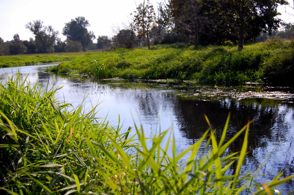 Waters Nature River