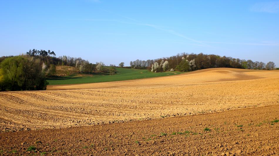Mati Nature Field