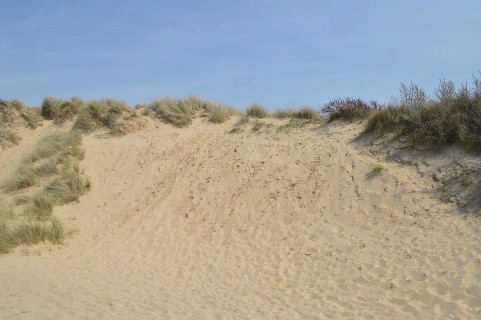 Sand Desert Nature