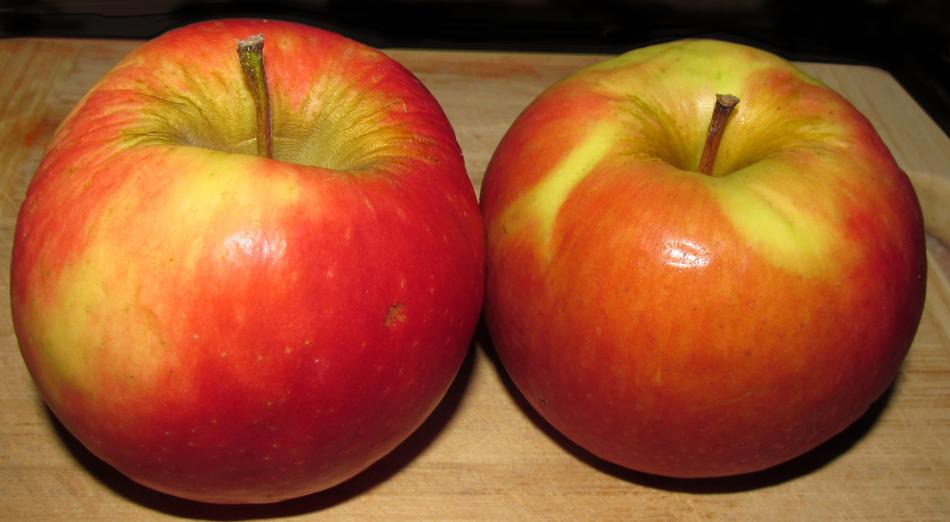 delicious apples on the table