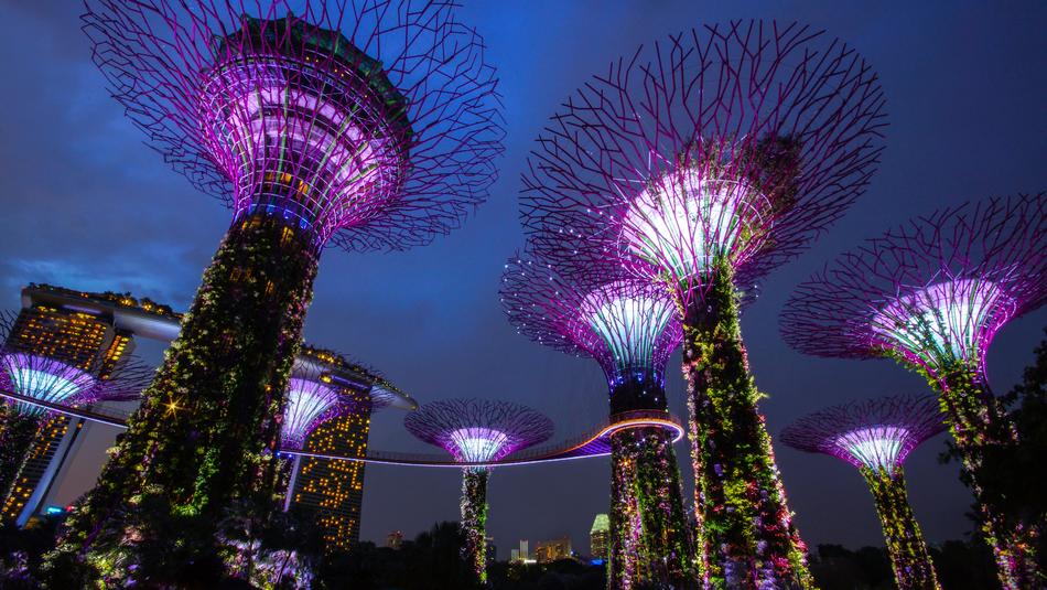 Garden By The Bay Singapore Night