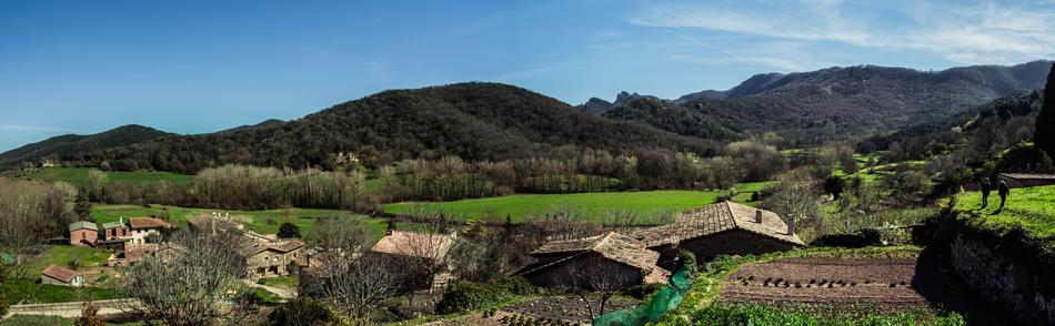 village in the field landscape