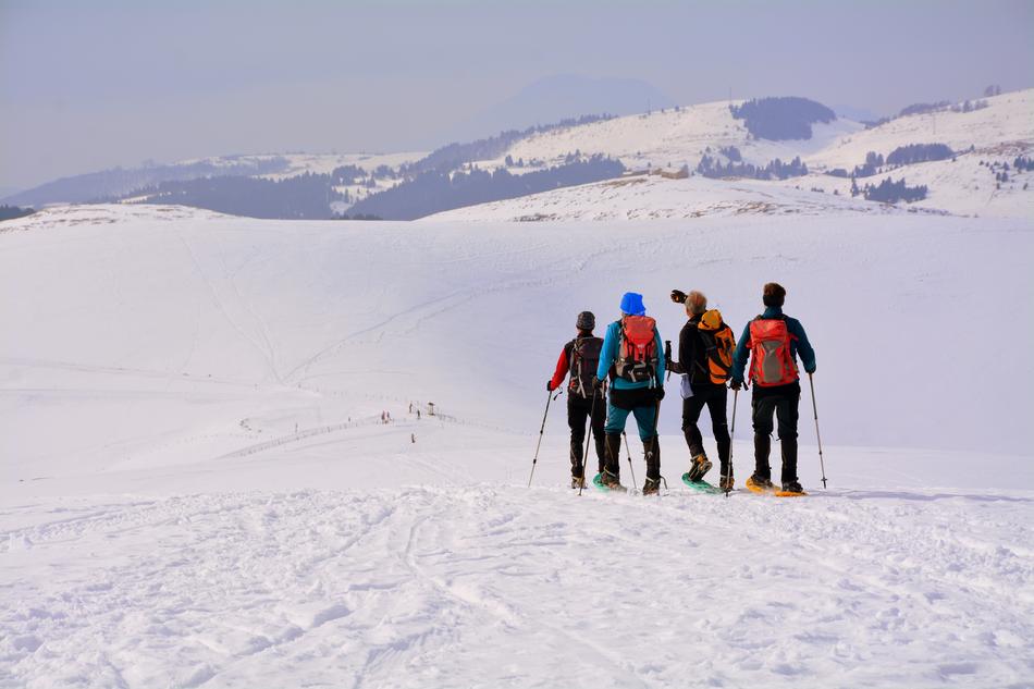 Amici Group Walk