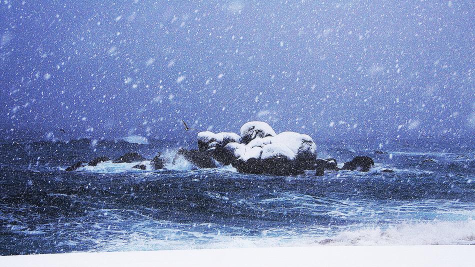 Sea Winter Nature