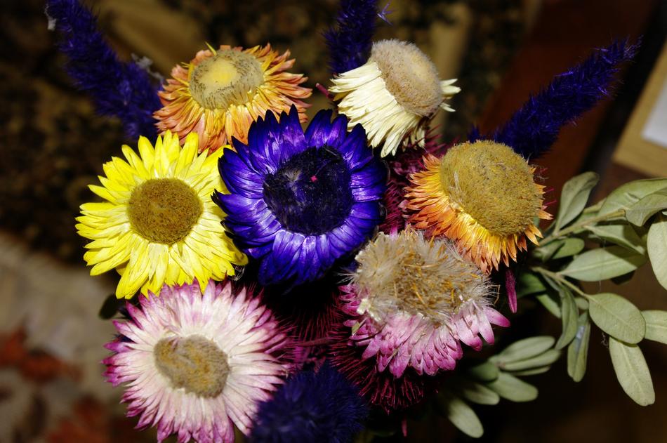 flowers are beautiful bouquet landscape view