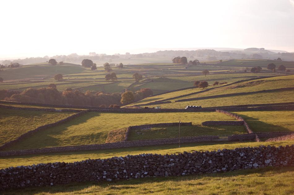Agriculture Landscape Farm