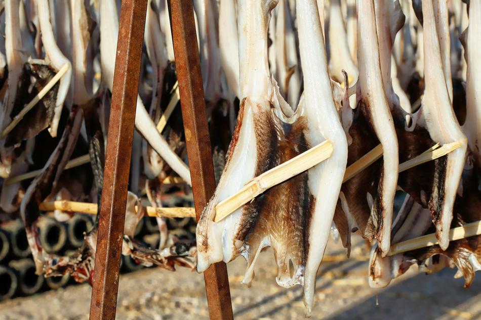 dangling fish jerky
