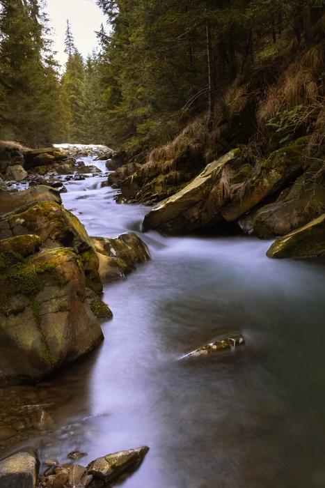 River Landscape Forest
