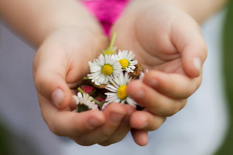 Nature Hand Small