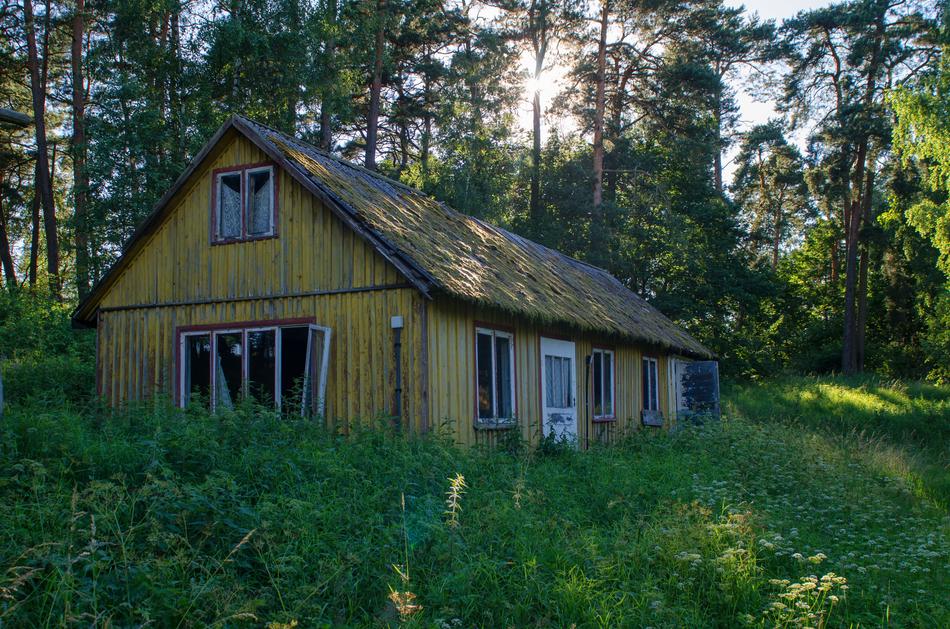 Wood House Grass