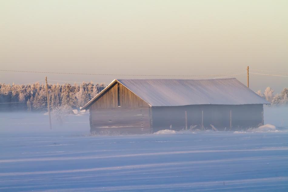 Aurora Nature Winter