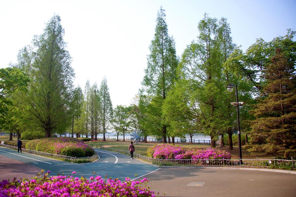 Wood Park Nature