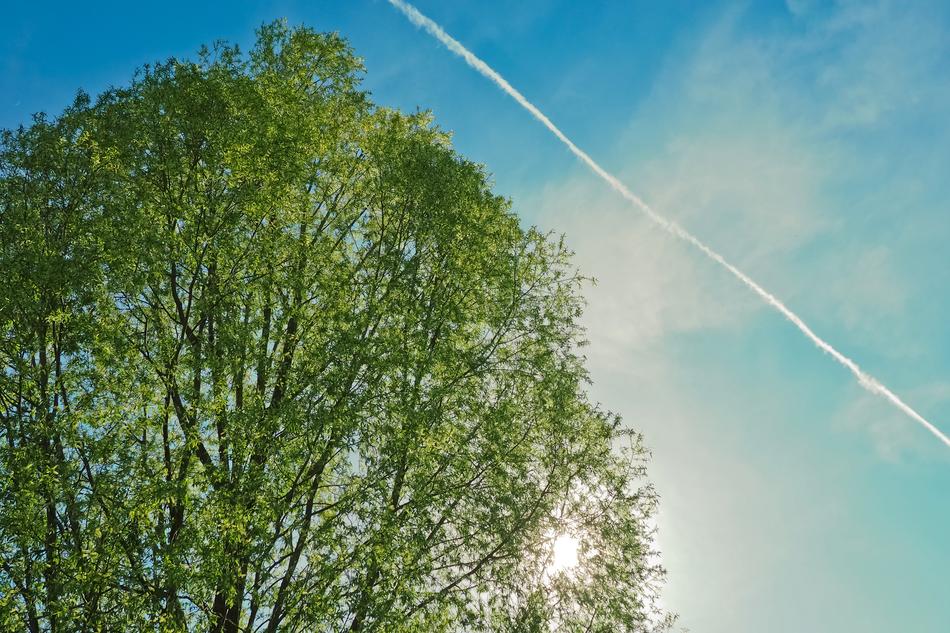 Nature Landscape Sky