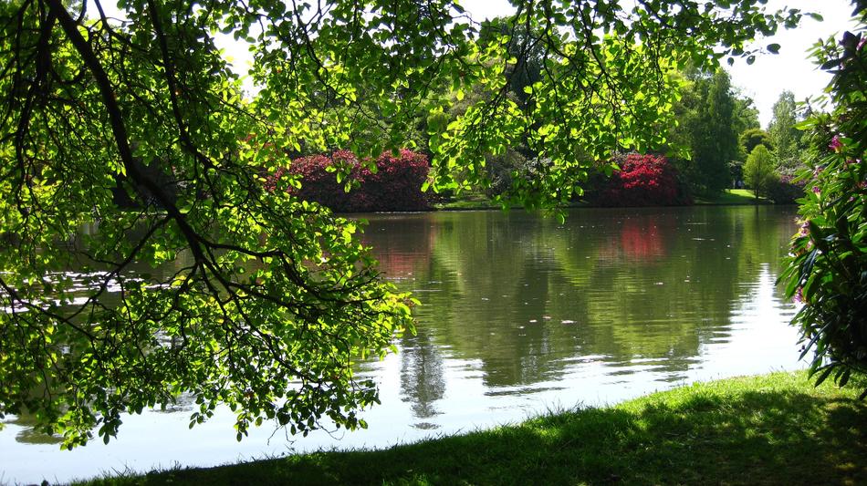 lake in the garden landscape