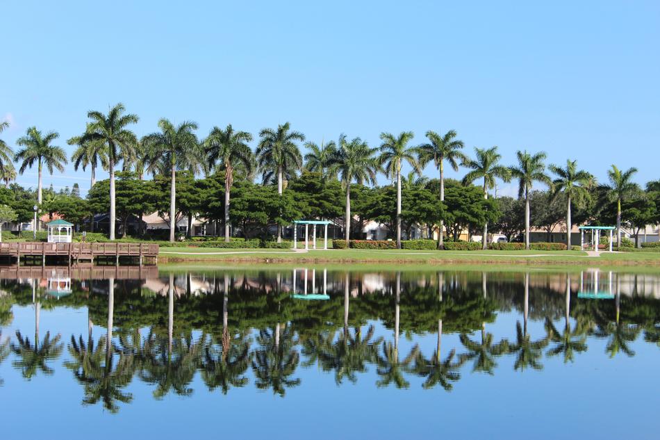 Nature Palmas Lake