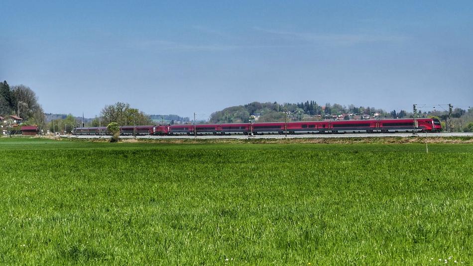 Grass Panorama Field