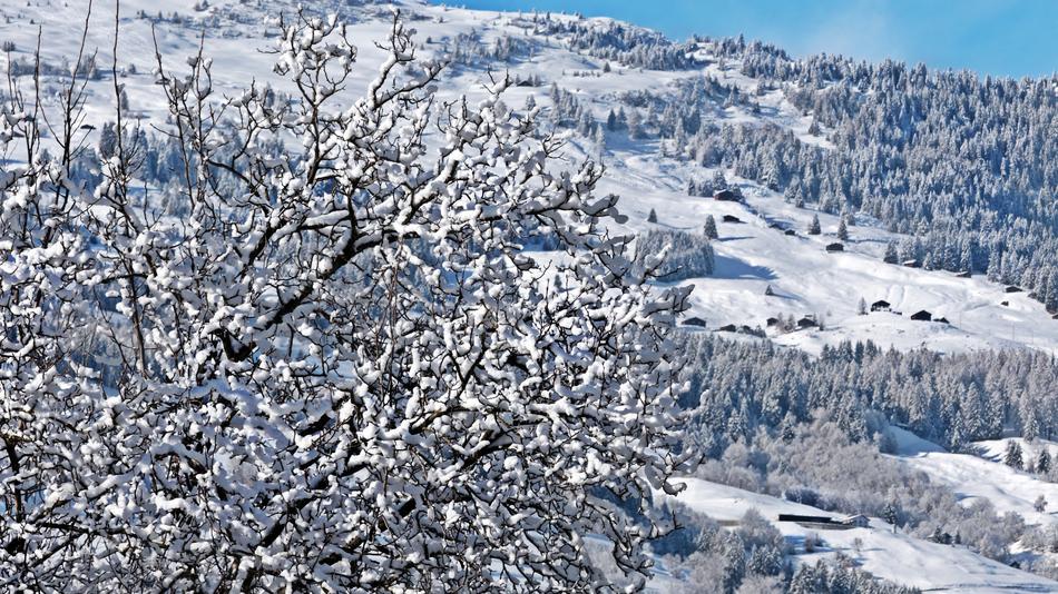 Switzerland Alpine Mountains