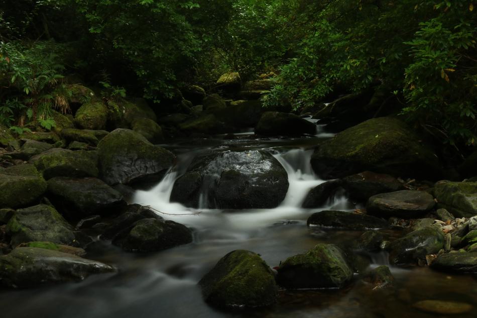 Watercourse Relaxation Bach