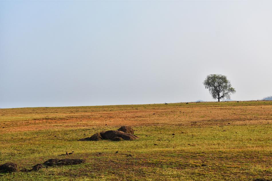 Landscape Balod Chhattisgarh
