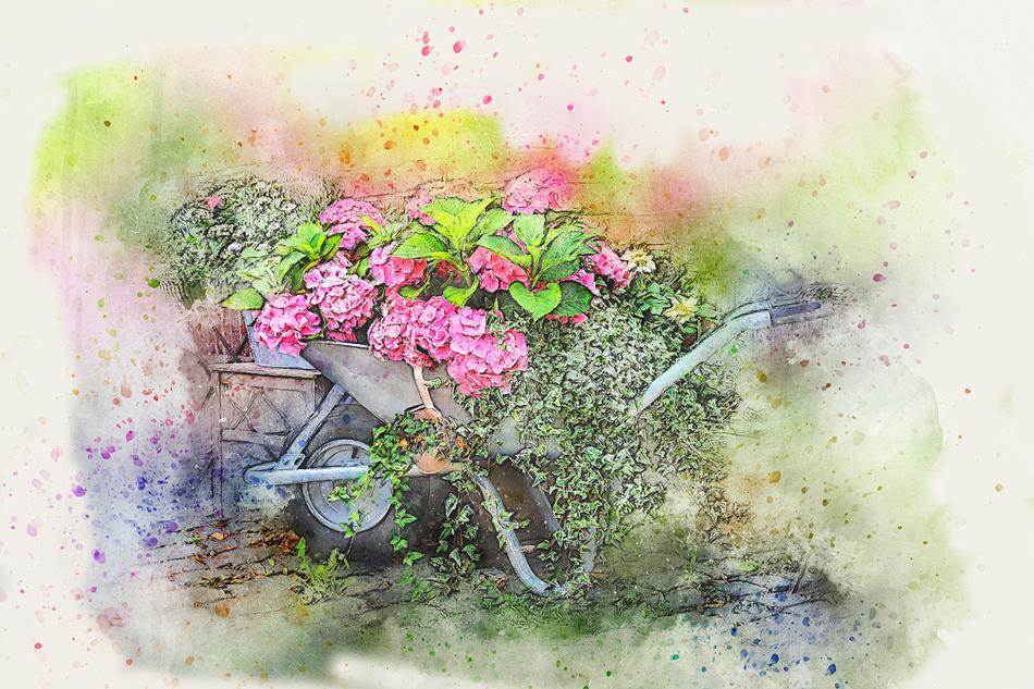 wheelbarrow flowers art abstract