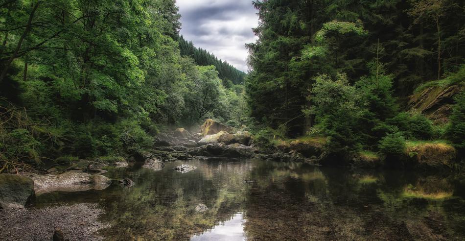 River Landscape Nature