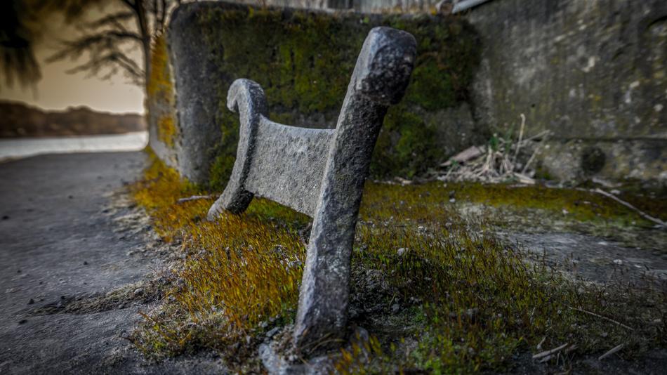 stone fence on a tree background