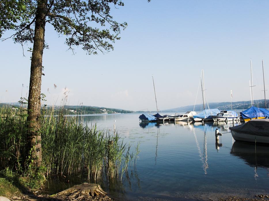 Seengen Halwiler Lake Waters