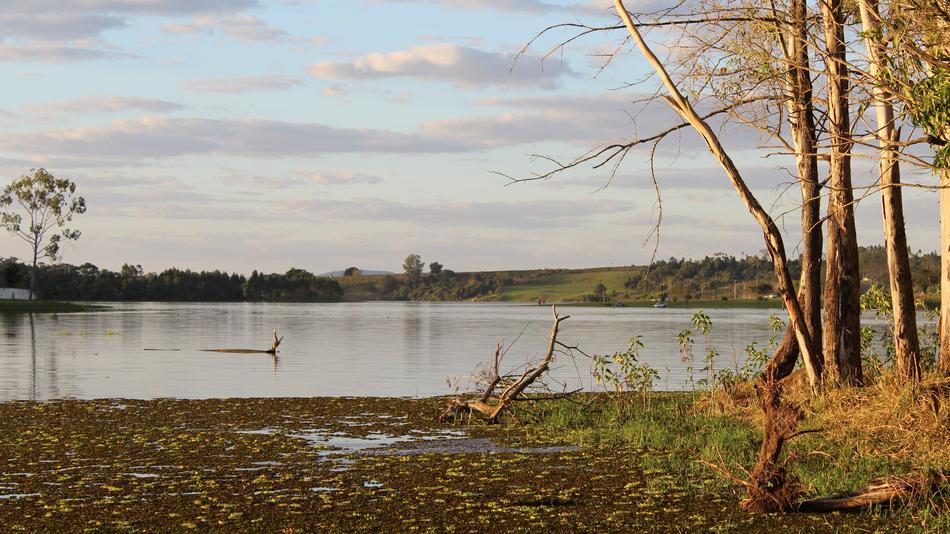 Body Of Water Nature Tree