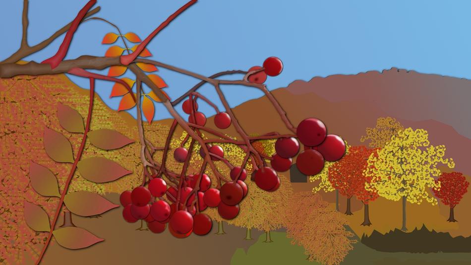 natural landscape plant autumn