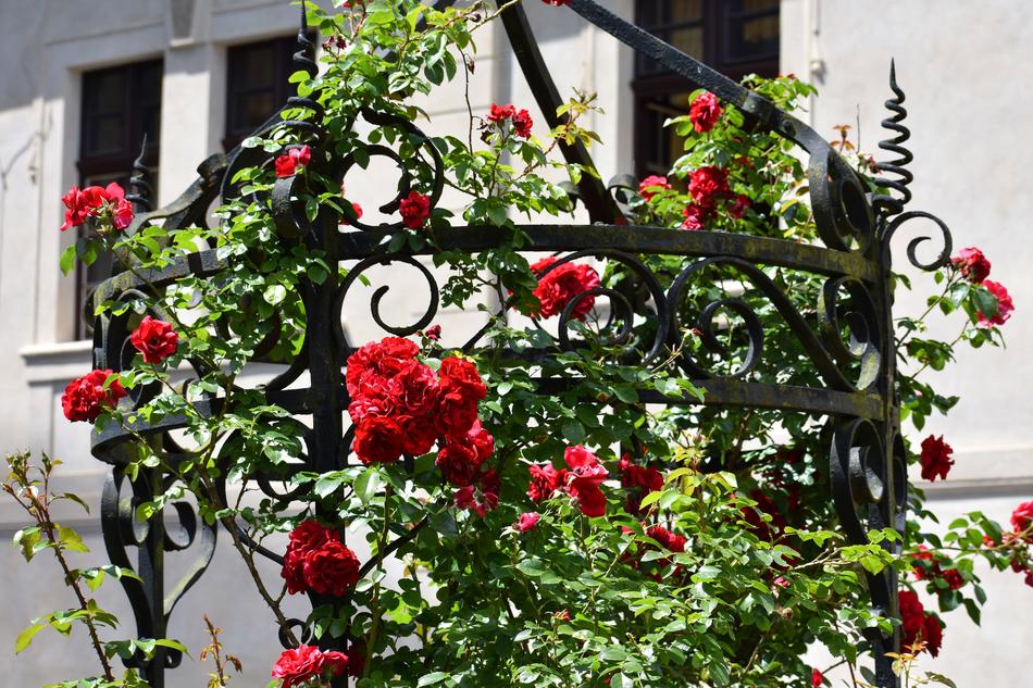 Rose Fountain Castle