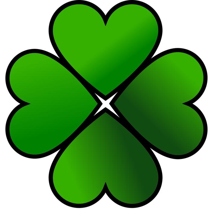 four leaf clover flower