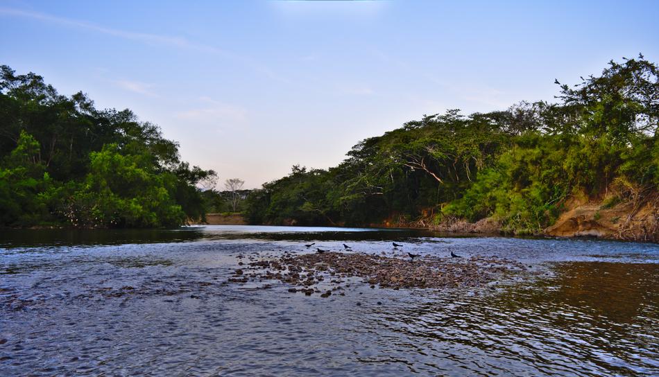 Water Nature River