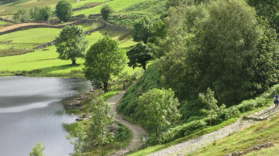Nature Summer Landscape
