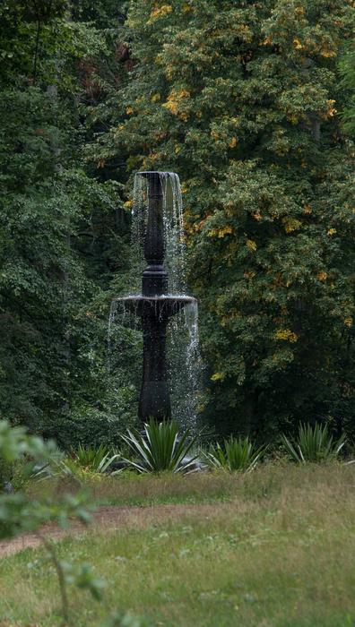 fountain park trees