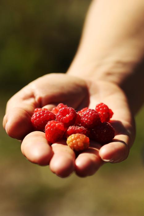 Raspberry Nature Hand