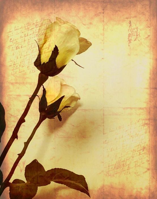Flower Art Decoration