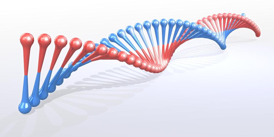 dna strand as a 3d model