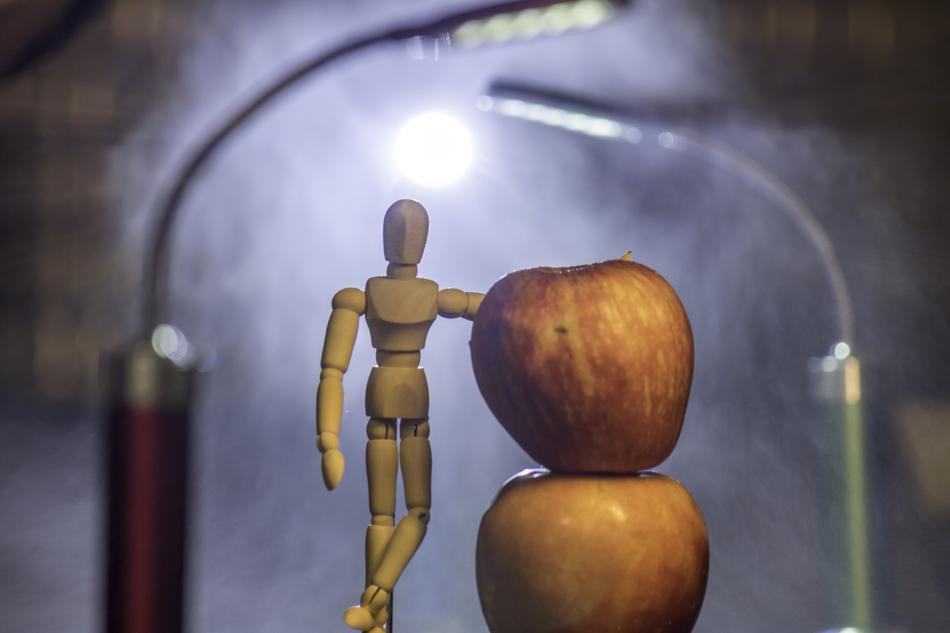 wooden figure with apples