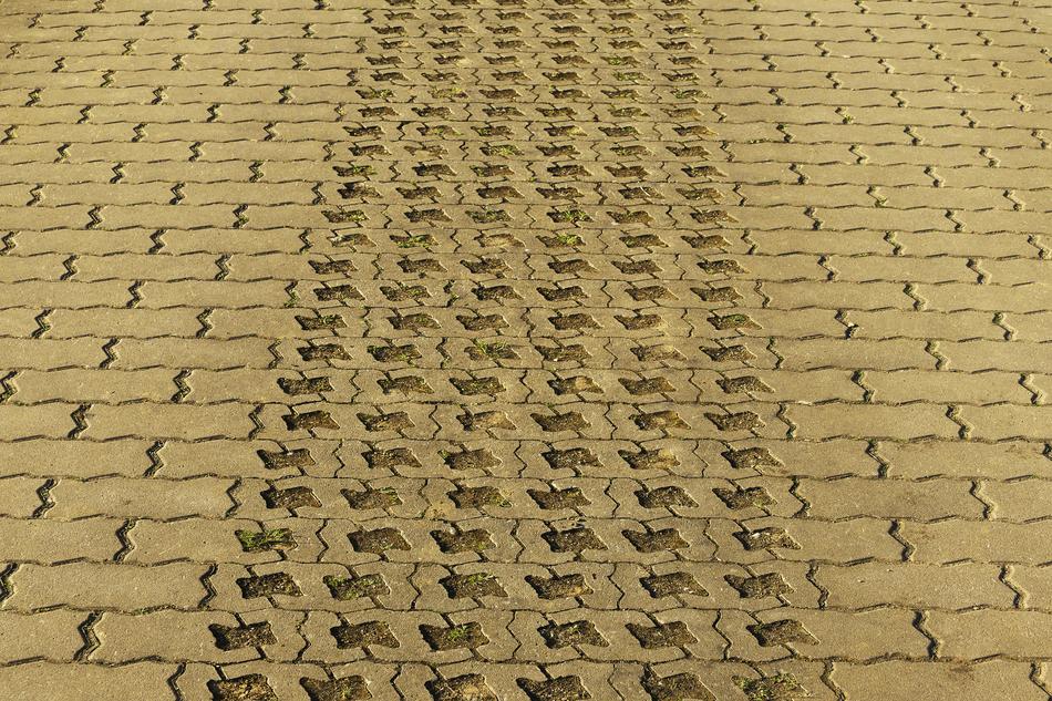 Patch Paving Lane