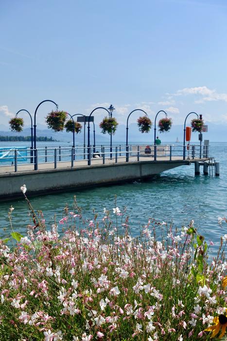 Pier Jetty Flowers