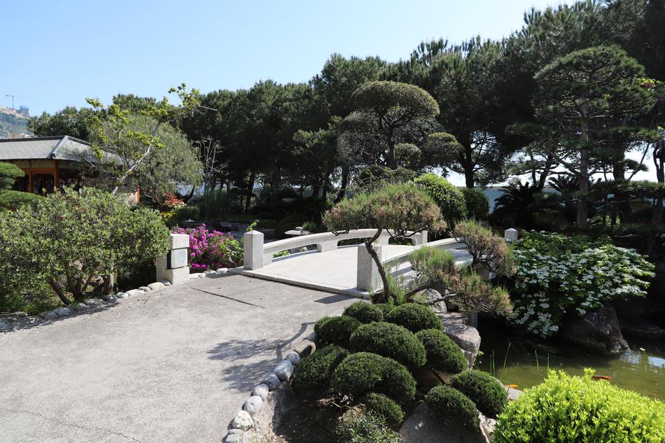 Garden Nature Tree