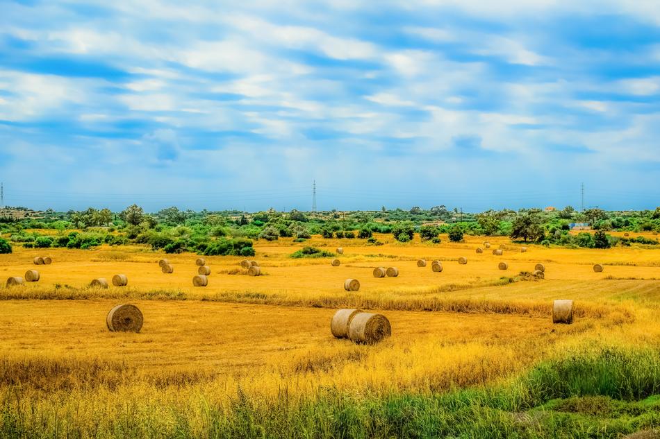 Nature Landscape Sky