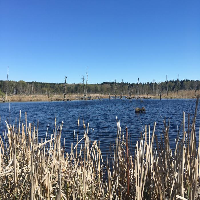 Waters Nature Landscape