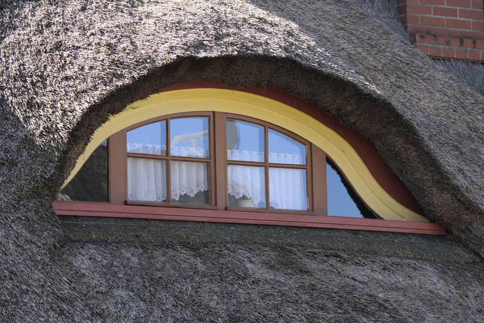 Window House Architecture